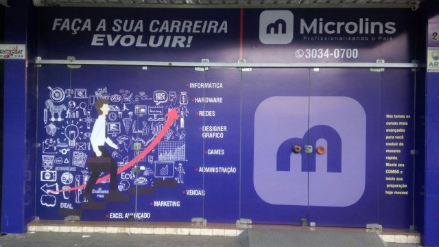 Microlins