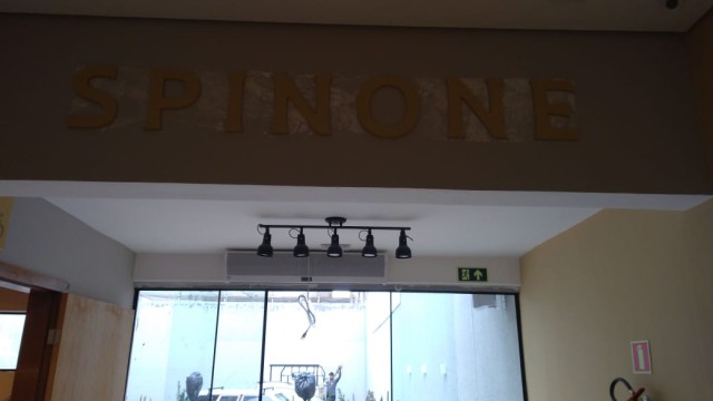 Spinone